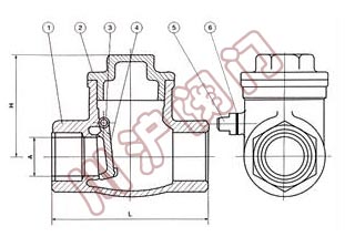 內螺紋止回閥結構圖